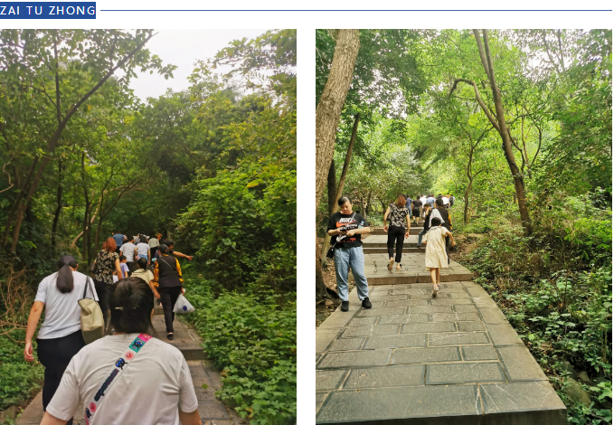 【動態】認真工作,快樂生活——智恒信科技六周年登山活動圓滿落幕 【動態】認真工作,快樂生活——智恒信科技六周年登山活動圓滿落幕