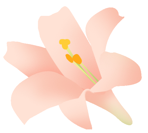 【動態】春日有約 遇見“莓”好—— 安徽智恒信女神節采摘活動